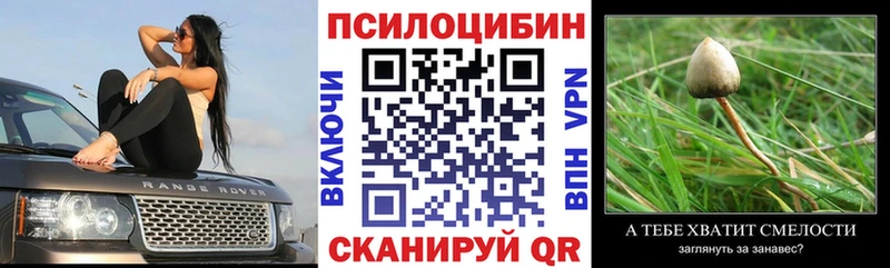 цена наркотик  Владикавказ  Псилоцибиновые грибы Magic Shrooms 